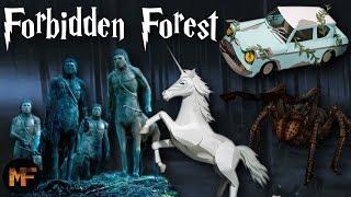 Everything You Need to Know About the Forbidden Forest (History Of)