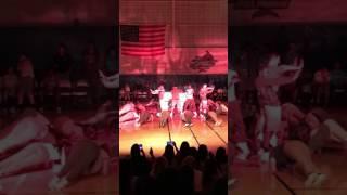 Flava 2016 CMSV