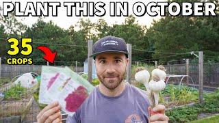 35 VEGGIES To Plant In October For A BEAUTIFUL Fall Garden!