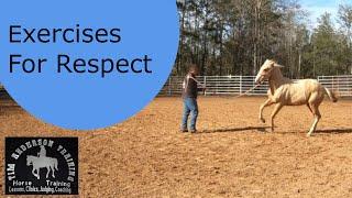 Help with bad horse behavior. Ground work exercises for disrespectful pushy or young horses.