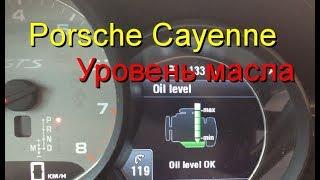 Проверка уровня масла Porche Cayenne/ Checking the oil level Porche Cayenne