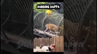 Ethu Poornimava  || Dubbing Dappa #funny #shorts #shortsfeed #comedy #funnyanimals #animalvideos