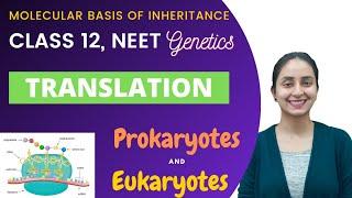 Translation | Class 12 | Molecular Basis of Inheritance