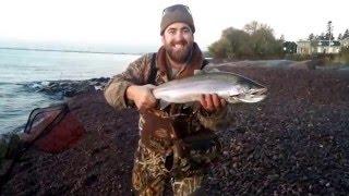 Kamloop Rainbow Trout on the North Shore of Lake Superior