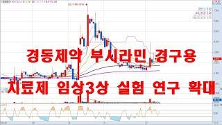 경동제약 부시라민 코로나19 델타, 오미크론 경구용 치료제 임상3상 실험 및 미국 연구 확장 소식 관련주 분석