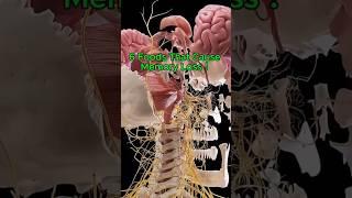 6 foods that cause memory loss!#health #healthtips #food #shorts #explore #ytshorts #healthy #body