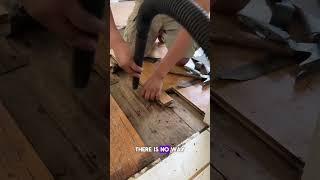 Urine stains on wood floors ￼ #flooringexperts #construction #repair #woodworking #tips #fypシ
