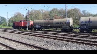 V100 "203 111-0" RCC - Rail Cargo Carrier "Held der Schiene" • Rangierfahrt