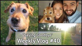 Saying Goodbye to Wilson | xameliax Weekly Vlog #40