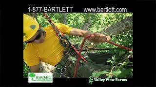 BARTLETT TREE SERVICE 02 3019 VVF