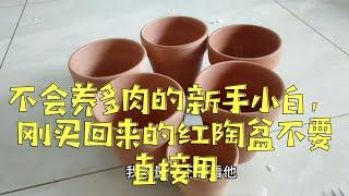 刚买回来的红陶盆不要直接用，用这个方法处理一下，不容易长毛