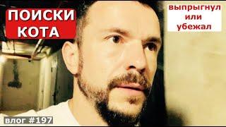 ПРОПАЛ КОТ | уезжаем из Анапы | в жару без электричества | больница и анализы | цены на бензин Анапа