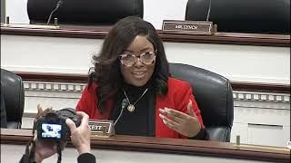 Jasmine Crockett calls out Marjorie Taylor Greene, Elon Musk during DOGE subcommittee hearing