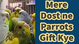 Mere Dost ne Bohat Saray Australian Parrots Gift Kye | Vlog | Ayesha Gill Official