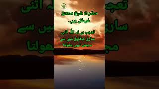 Hazrat Sheikh Saadi Rahmatullah Alaih Farmate Hain|| Islamic Whatsapp Status || I.U.H.R...