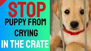 Stop Puppy From Crying in the Crate - Crate Training Tips