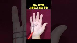 자식 덕분에 재물운이 있는 손금 #재물운 #성공운 #자녀운 #자식운