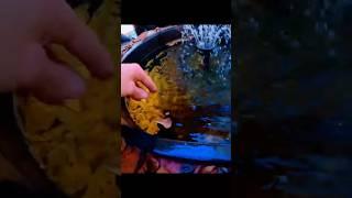 Feeding my pond goldfish