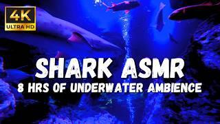 4K Underwater Ambience: Use this if you are Stressed, White Noise for Relaxation