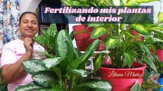 FERTILIZANDO MIS PLANTAS DE INTERIOR / Liliana Muñoz