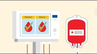 Why Your Donation Matters: Supporting Patients with Sickle Cell Disease Through Blood Donation