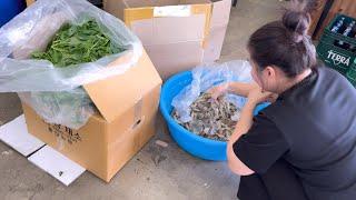 Đi Siêu Thị Việt Nam Mua Tôm Về Kho.