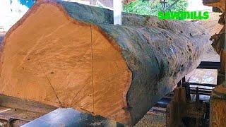 a form of super large Meranti wood being sawed with a bandsaw machine