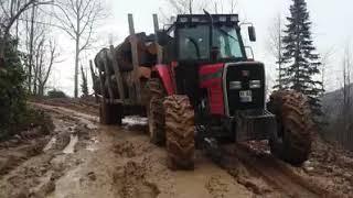 Massey Ferguson 3085 olgun Acar