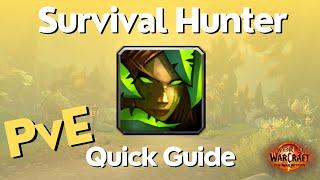 Survival Hunter The War Within Guide - TWW Season 1