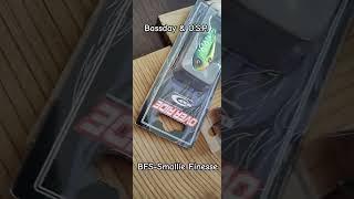 Bass Finesse Fishing for Smallmouth Bass #bassfishing #smallies #smallmouth #fishing #fishingbait