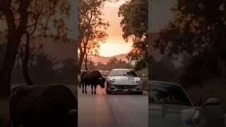 Bull vs famous cars .                        #viralvideo #animalhybrid