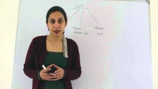 CIMA P1 lecture # 10- Basic Costing Techniques