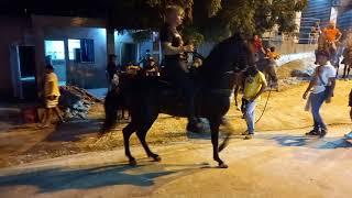 Taganga, Colombia: mariachi band, singers, and Colombian horses...#3