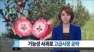 [대전MBC뉴스]기능 장착 예산사과..고급시장 공략