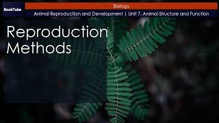 Reproduction Methods | Animal Reproduction and Development | Unit 7. Animal Structure and Function