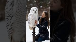 Winter Magic: A Girl and Her Snowy Owl in Gentle Snowfall