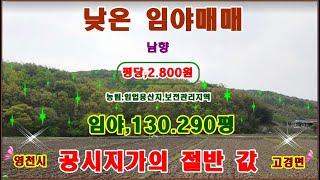 물번.599번) 중대형 임야.130.290평 평당,2.800원 농림지역,보전관리지역,임업용산지,도로접,구거접,매매가,3억7.000만원 공시지가,6억7.000만원 입니다3필지 몽땅,