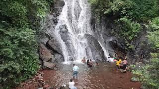 Amazing GOA countryside drive | Enjoy the lush green nature | Waterfalls in Goa #Cutetravel #goa