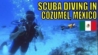 Scuba Diving in Cozumel, Mexico 