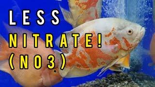 6 Ways to REDUCE Nitrate (NO3) in your Aquarium.