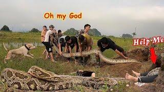 9 Brave Hunters With Pitbull Dog Confront 2 Giant Fierce Pythons To Save The Girl | Wild Hunter TV