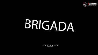 Atajan Eyyup - Brigada (janlysesim) cover