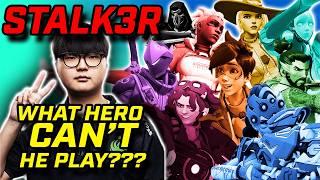 15 Heroes in 15 Minutes - The BEST of Stalk3r - Pro Overwatch MEGA Montage
