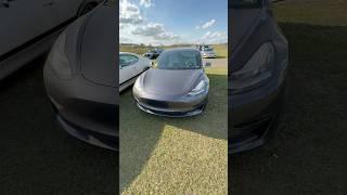 Tesla Model 3. Неплохая цена, хорошее состояние. Обзор авто аукциона в США