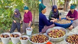 TAZE İNÇİR HASADI ODUN ATEŞİNDE İNÇİR REÇEL YAPIMI | HALAM'IN LEZZET KÖYÜ VİLLAGE LİFE