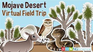 Mojave Desert – Virtual Field Trip