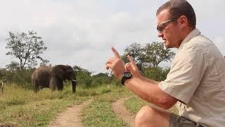 The Elephant Whisperer