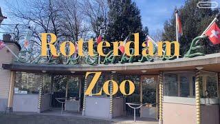 네덜란드 로테르담 동물원(Rotterdam Zoo) 방문기