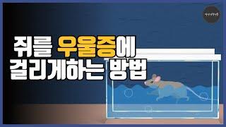 학습된 무기력과 긍정심리학 - 포솔트 강제 수영실험