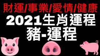 2021年牛年十二生肖豬的運程｜財運 ｜事業｜愛情｜健康運｜CC字幕｜LOKI 洛基先生